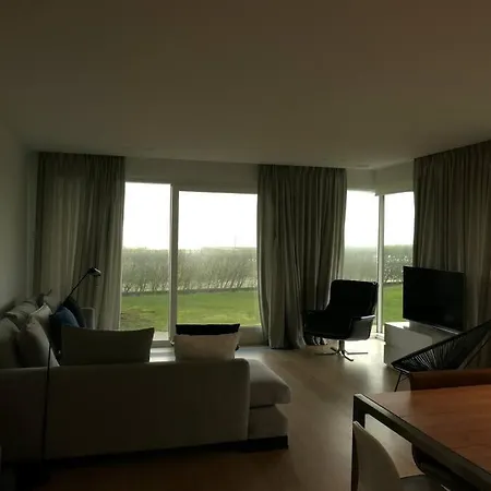 Apartment Gray D'albion 001 *